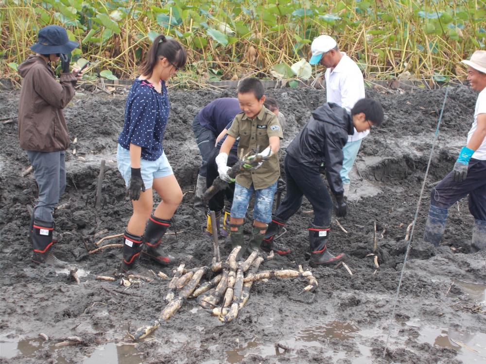 農業・漁業を体験！徳島の暮らし体感の旅