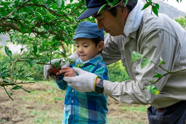 里山みらい 【食】徳島の旬の果物収獲体験コース