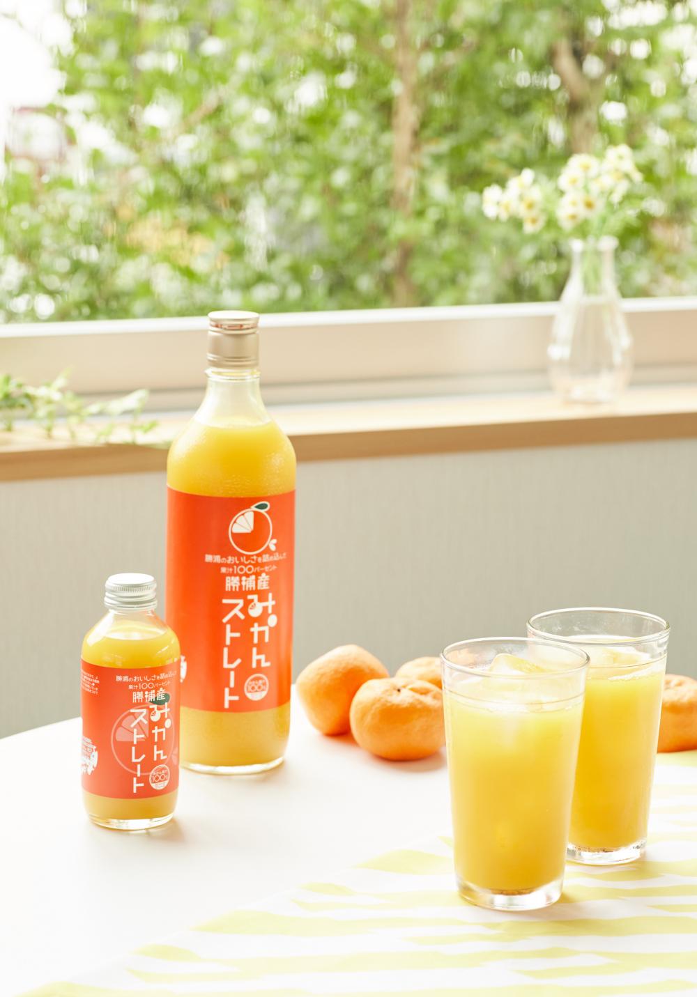 道の駅 ひなの里かつうら