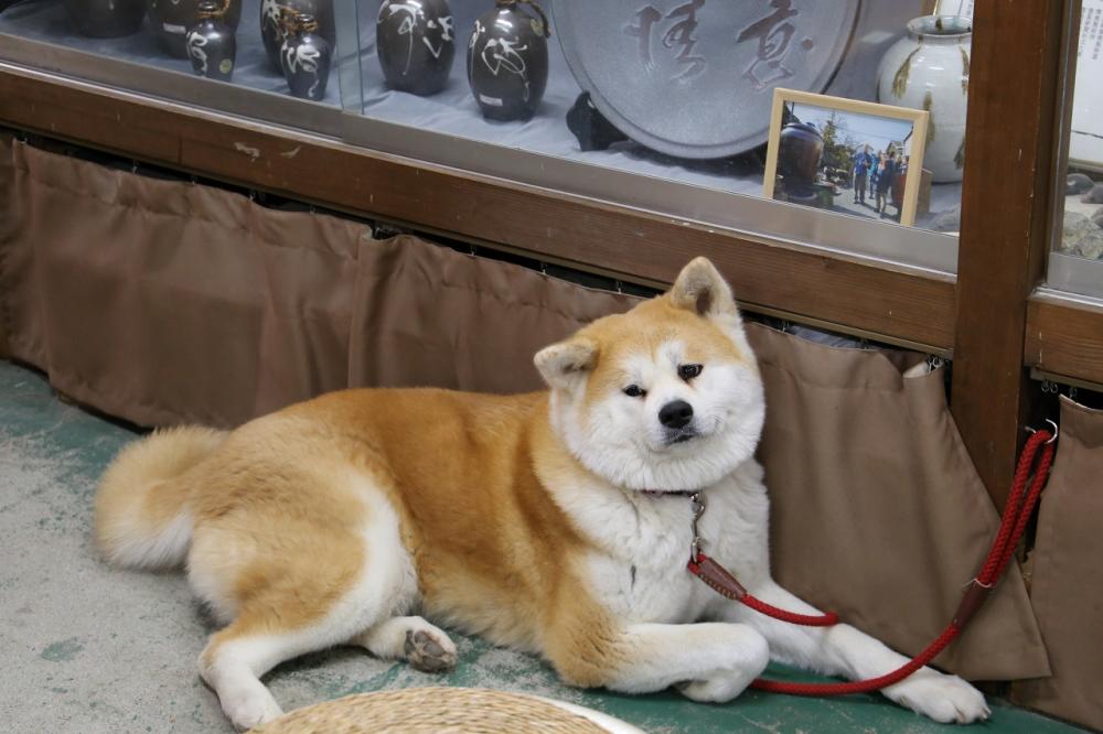 森陶器
