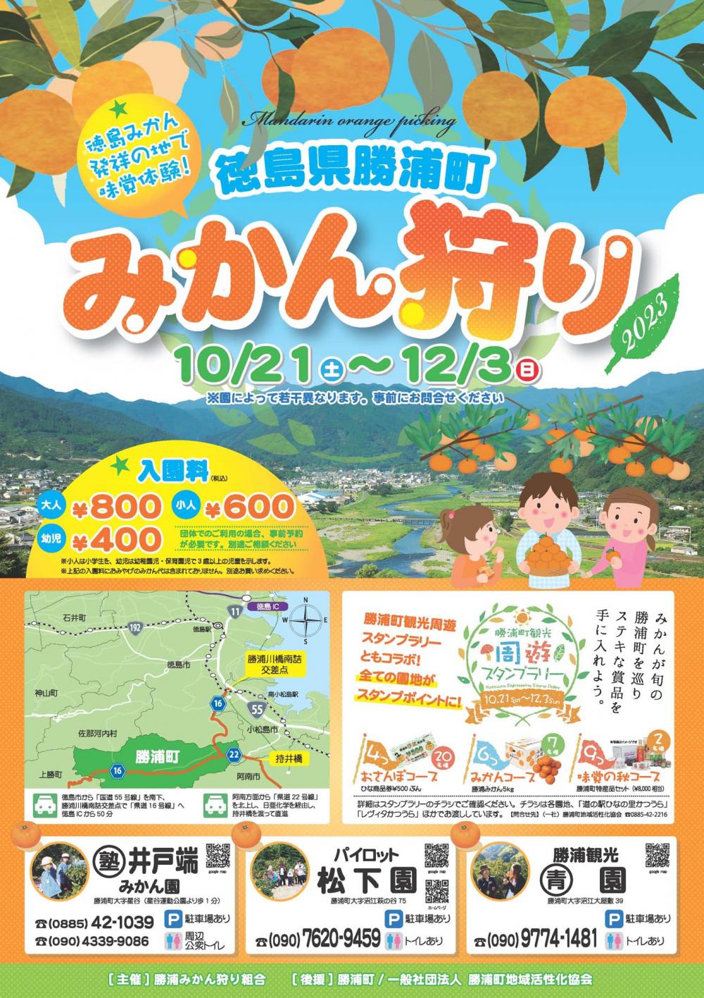 【10/21～12/3】勝浦町 みかん狩り情報（2023年）