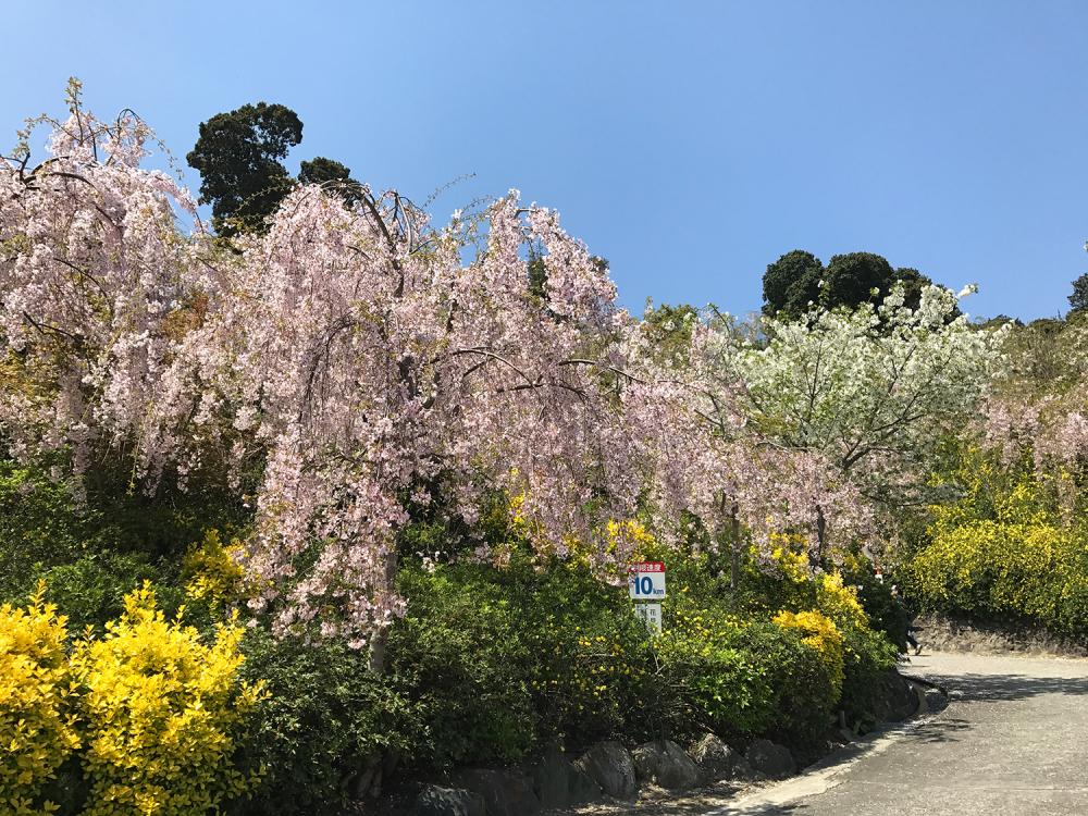 花見山 心の手紙館