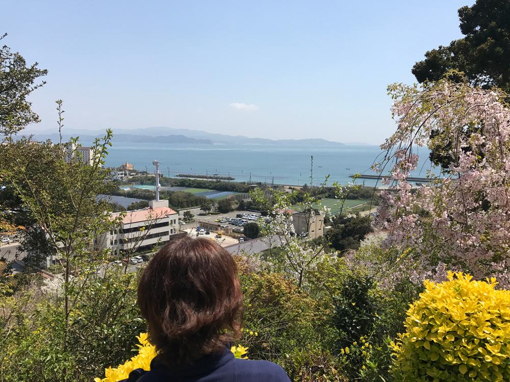 花見山 心の手紙館