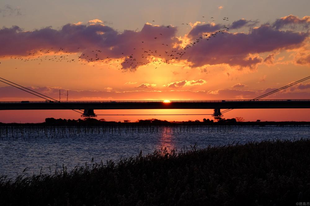  吉野川（阿波しらさぎ大橋）