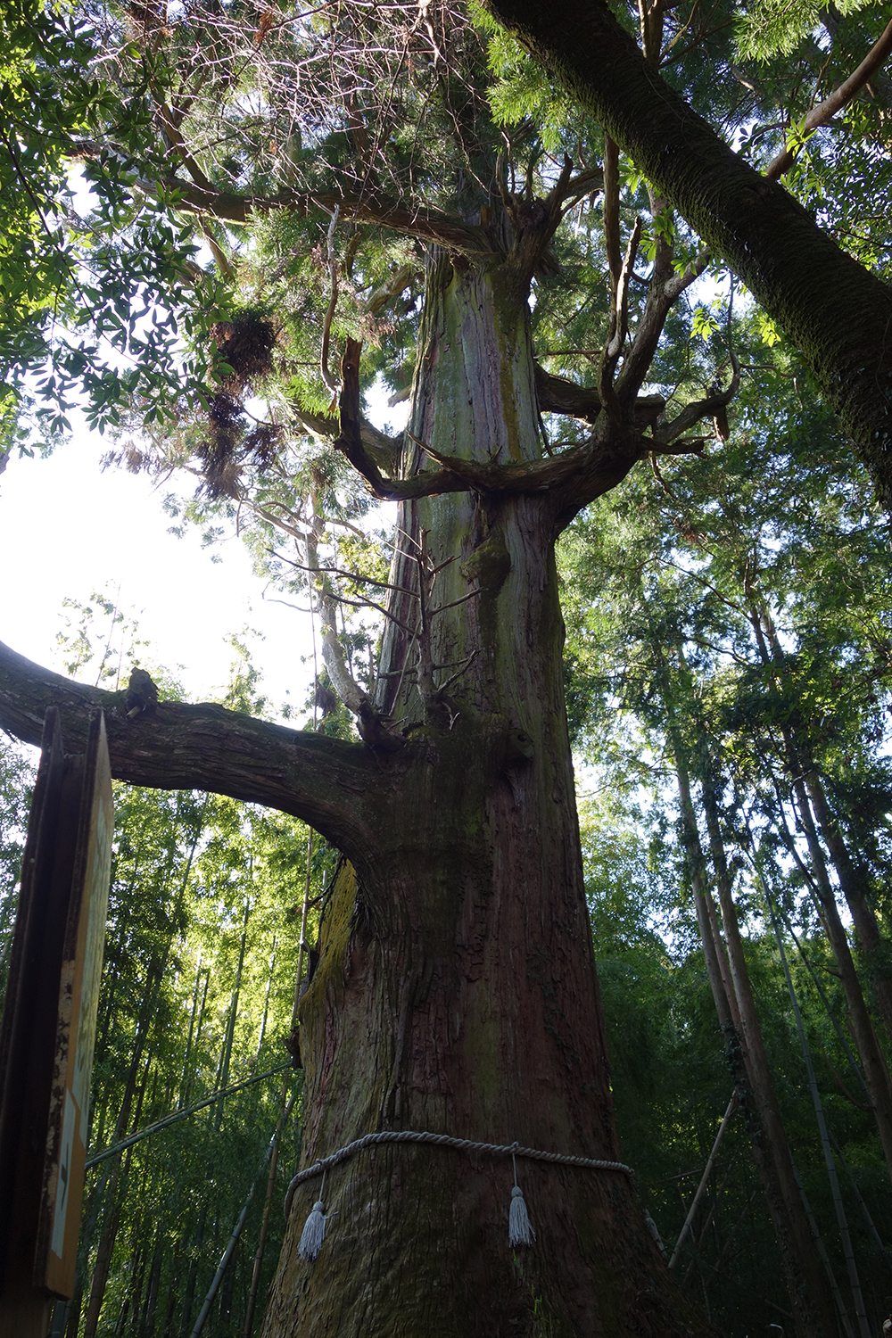 大山寺