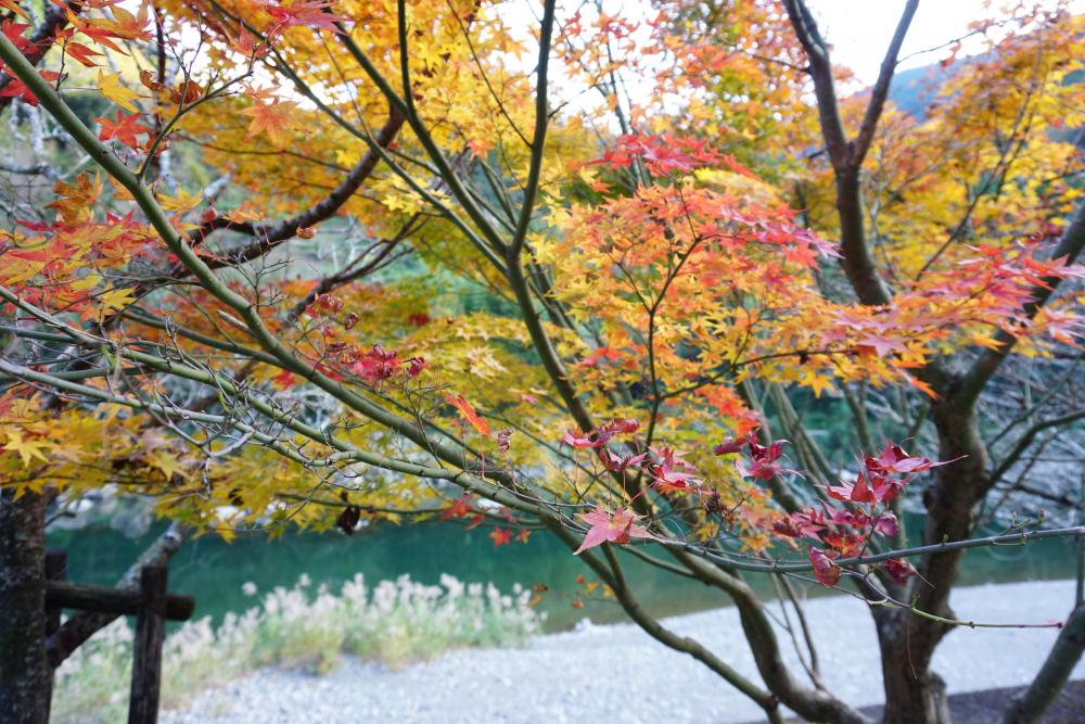  前川キャンプ場