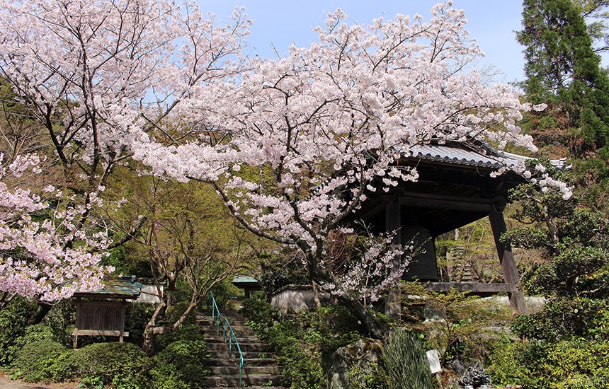 瑞巌寺