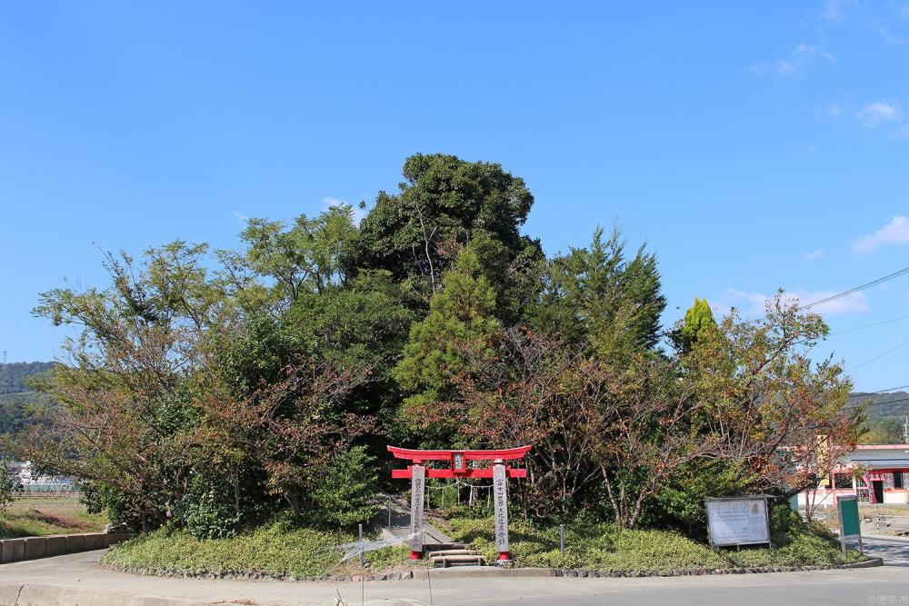 阿波横丁