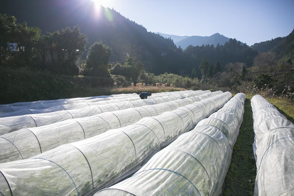 自然とともに　人とともに　里山有機農業
