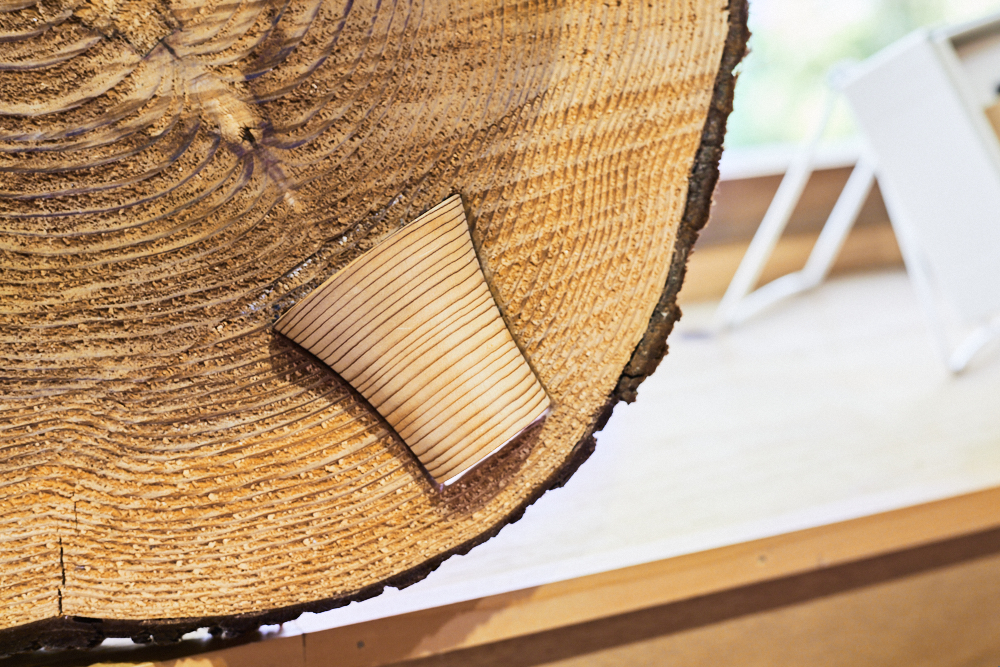 Modern Crafts of East Tokushima: Good Design Meets Sustainable Future