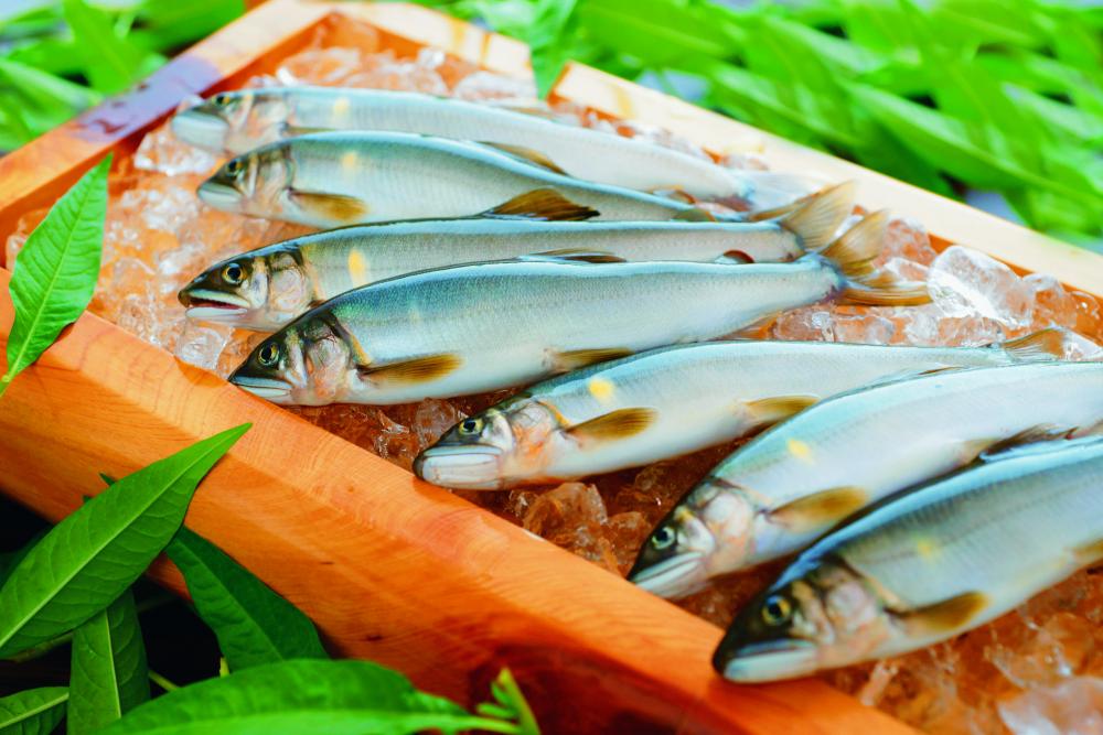 夏の訪れを告げる美味。
徳島の「鮎」を食す。