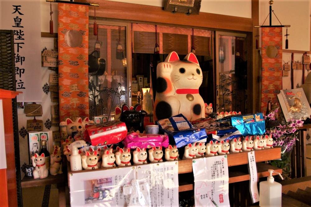 初詣に合格祈願、御朱印まで！ 
徳島市「王子神社」へお詣りに行きました