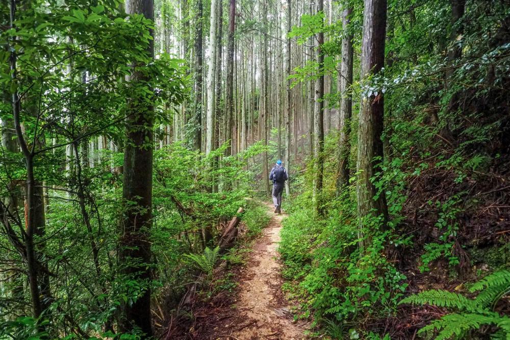 Re-energizing local communities post-COVID with long-distance trails