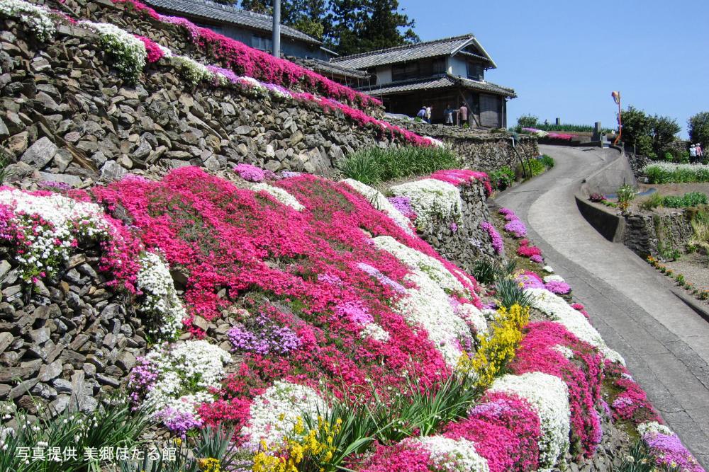 花に呼ばれて天空へ
心のふるさと
徳島県吉野川市美郷