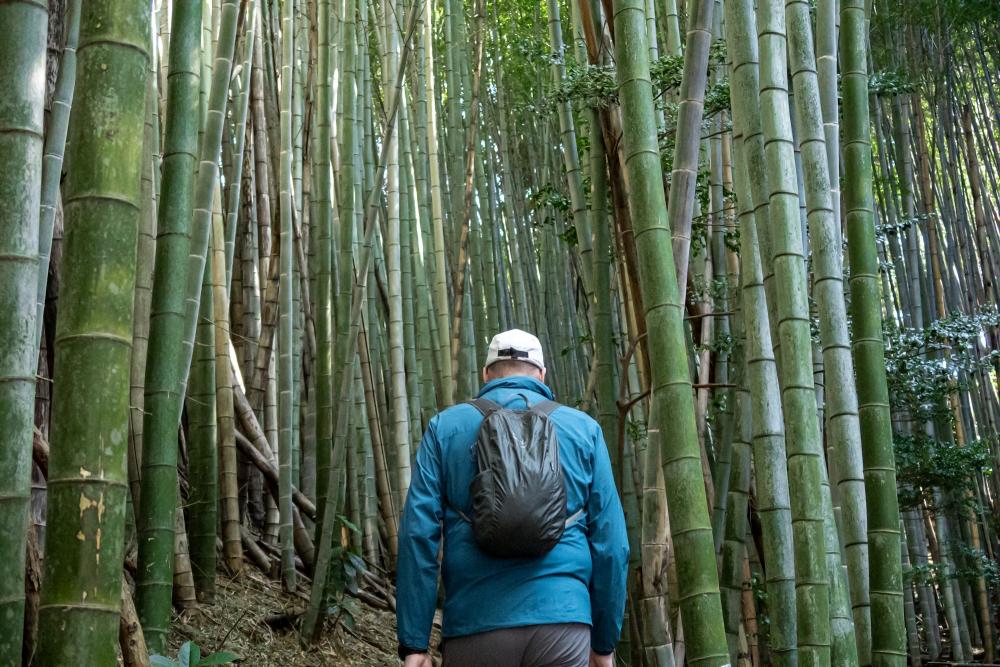 義経が駆け抜け、「四国遍路の父」が歩いた美しい里の道
小松島市恩山寺と立江寺周辺の遍路道