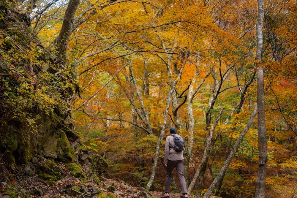 Hike & Workcation in East Tokushima
Kamikatsu #3
