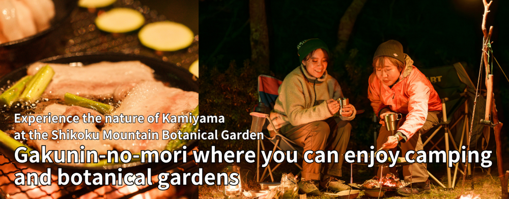 Experience the nature of Kamiyama town at the Shikoku Mountain Botanical Garden Gakunin-no-mori.