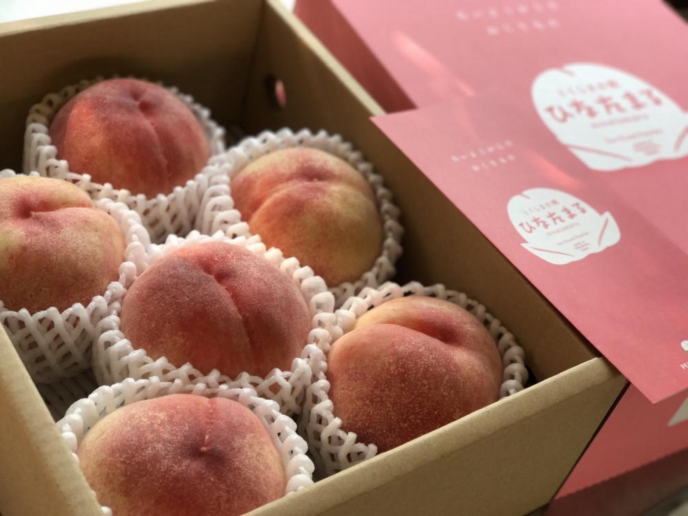 知られざる「桃」の産地・板野町で
1年中、桃を堪能できる場所