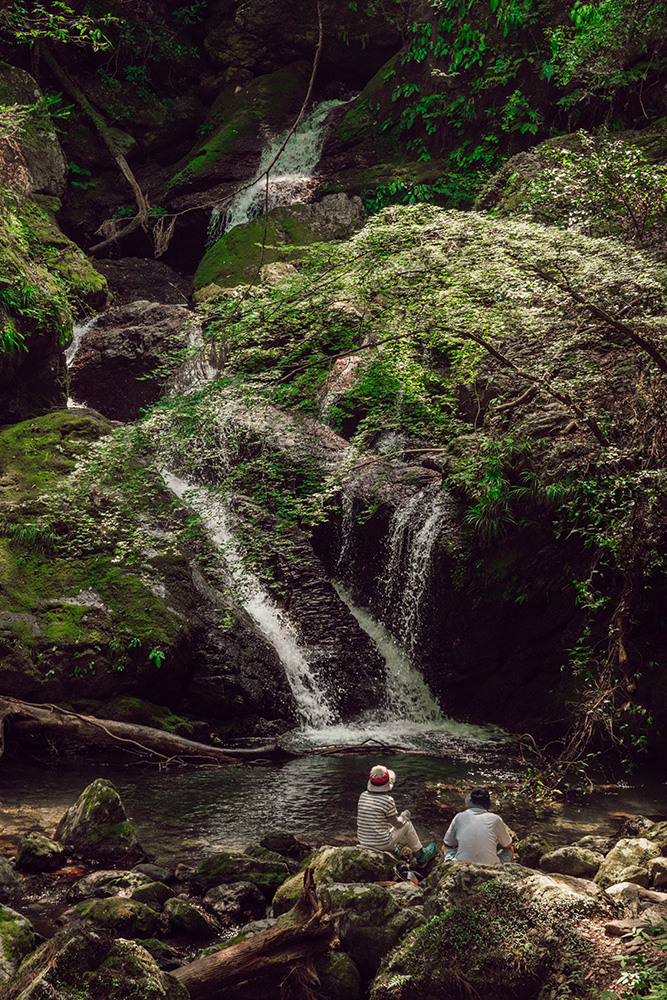 Chasing Waterfalls in East Tokushima: Explore Amagoi, Jintsu, and Fudo Falls