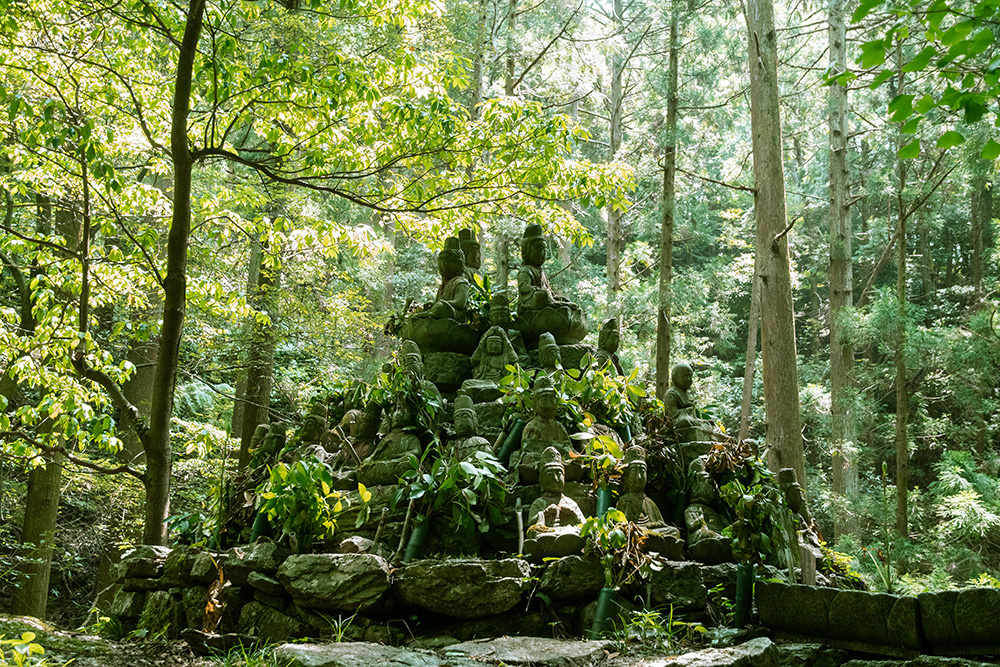 Hotoke Ishi: The Story Behind this Mysterious Collection of Buddha Statues in the Forest