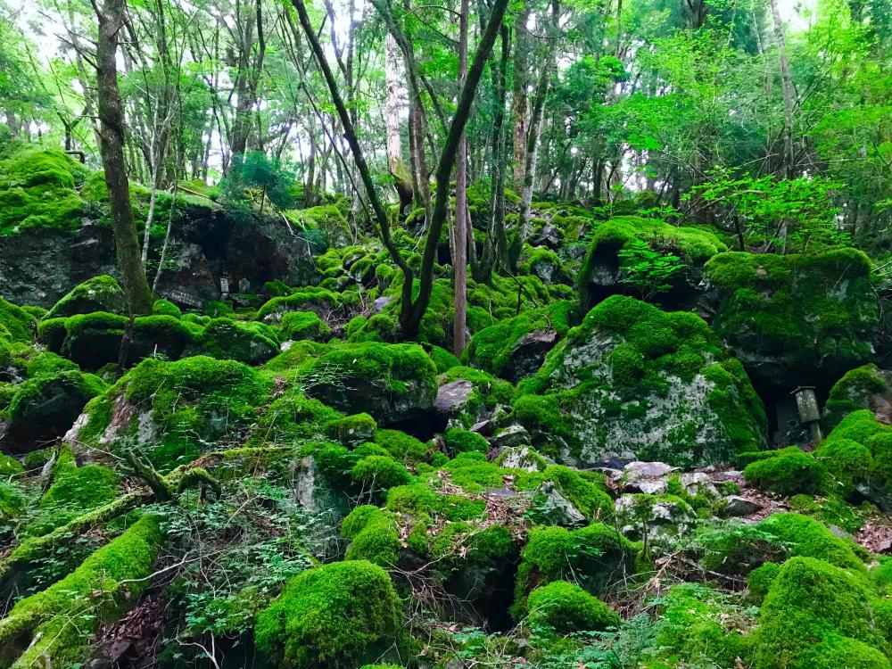In Tokushima, I found original sceneries of Japan.
 Explore this undiscovered timeless mountain village and find your own journey　(Kamikatsu, Tokushima)
