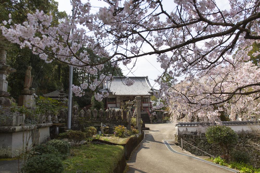 森本院