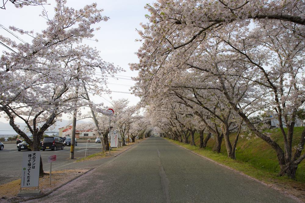 徳島県農業大学校跡地