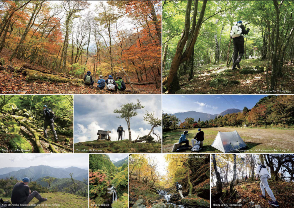 Amazing scenics you could see on the trails in each area