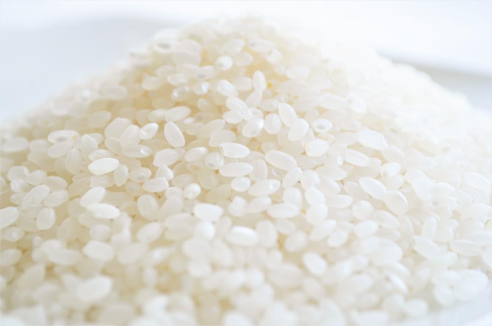 お米はおいしいだけじゃなく、おもしろい！ 「関山米穀店」でお米の魅力に触れてみる | 特集 | イーストとくしま観光推進機構