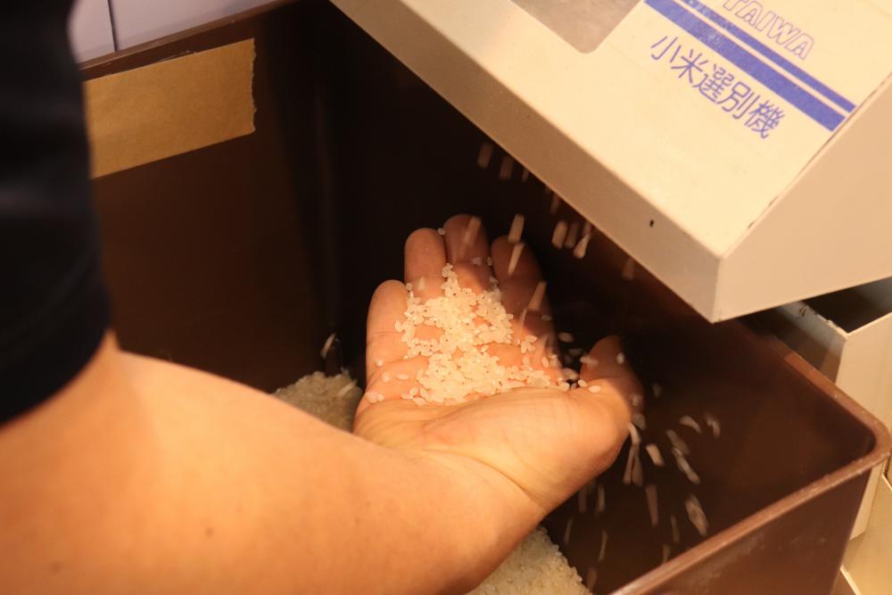  ▲精米したてのお米はぴっかぴか！