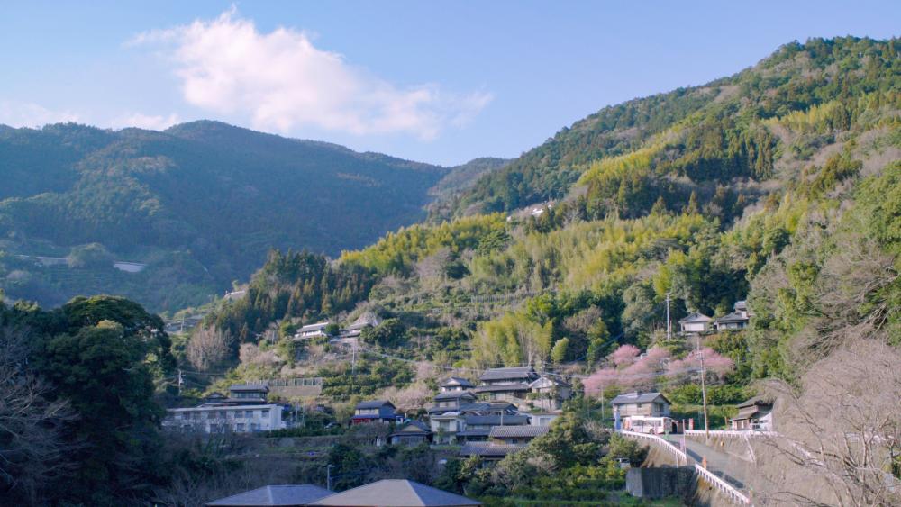 おひな街道のある勝浦町坂本は、山の斜面にある小さな集落
