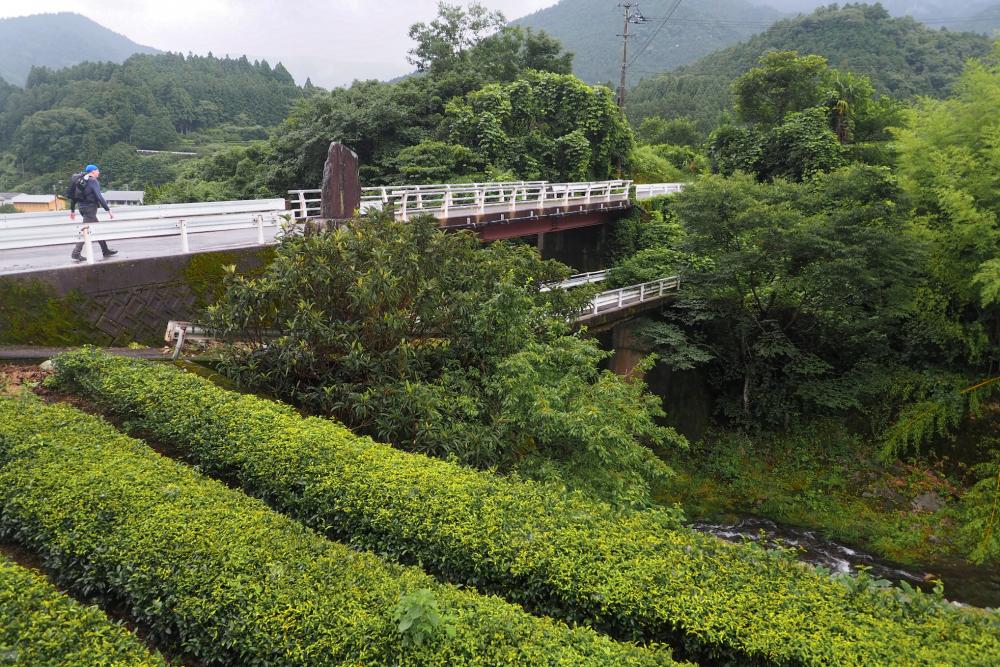  仕事の合間にゆっくりと散歩して、身も心もリフレッシュ