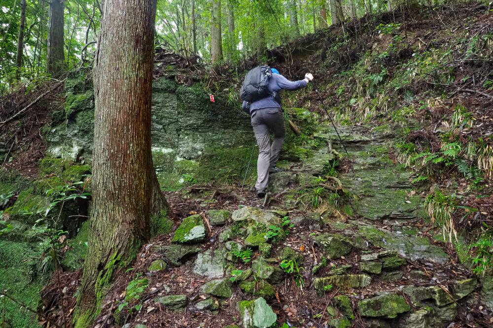  へんろころがしの坂道