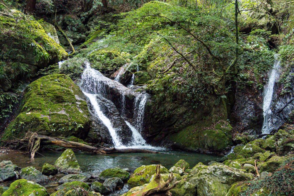 途中には、うぐいす滝・不動滝・ 地獄淵・もみじ滝・観音滝がある(写真はうぐいす滝)