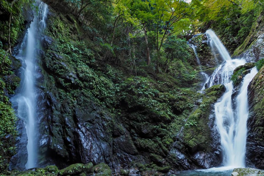  雨乞いの滝。華やかな雌滝（右）と涼やかな雄滝（左）から成る