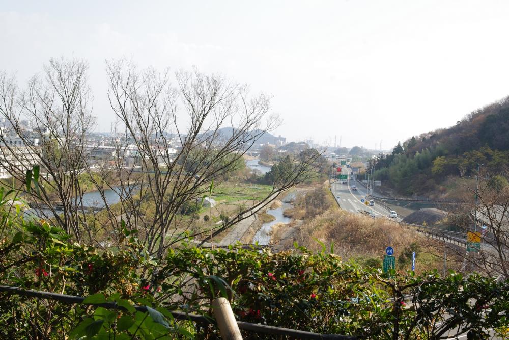 ▲神社から見える景色も抜群です!