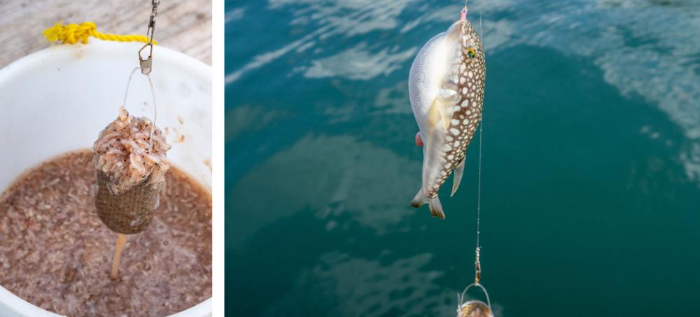 餌のオキアミに似た小さな針が幾つもついた釣り竿