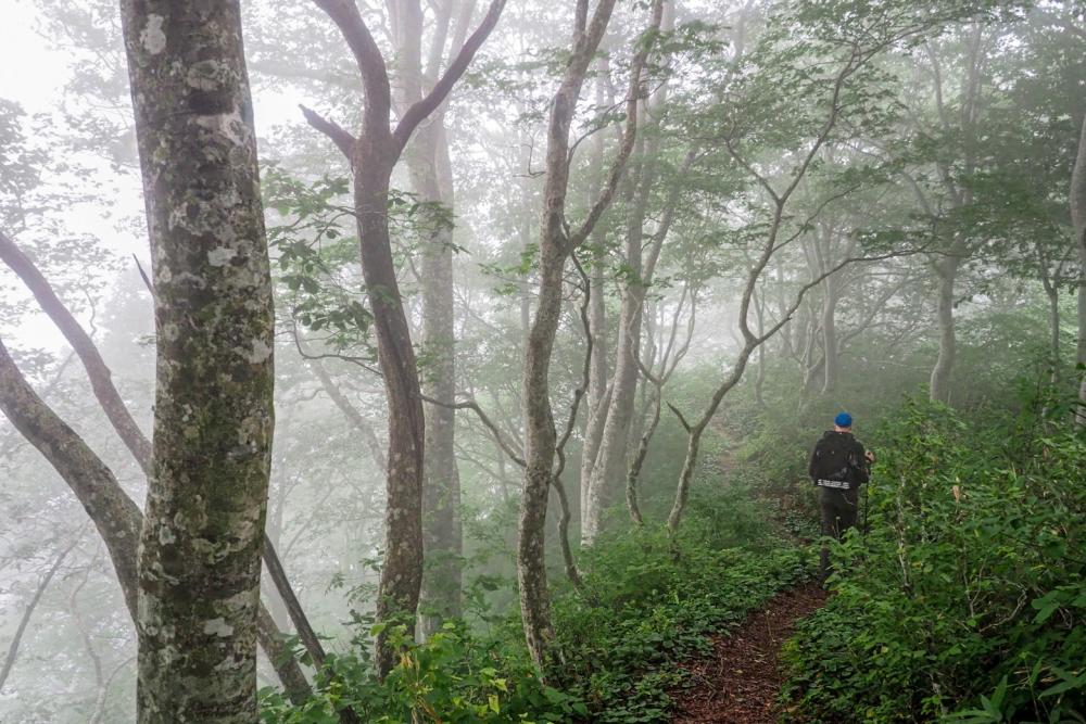 Shinetsu Trail, the pathfinder of the modern long-distance trails in Japan