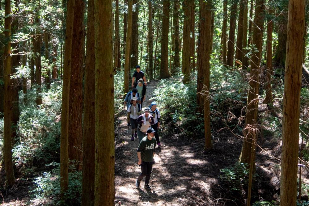 A guided walk tour to Mt. Yamainudake