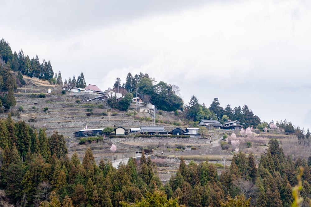 高開の石積み全景