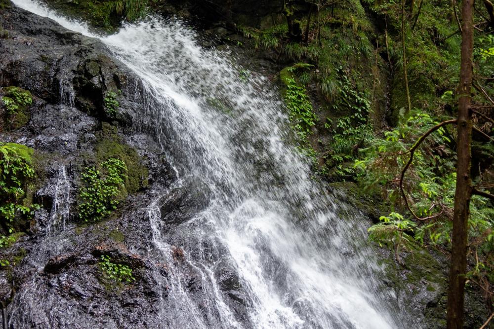 The leaping "hyonguri" splash of Todoroki-no-taki falls.