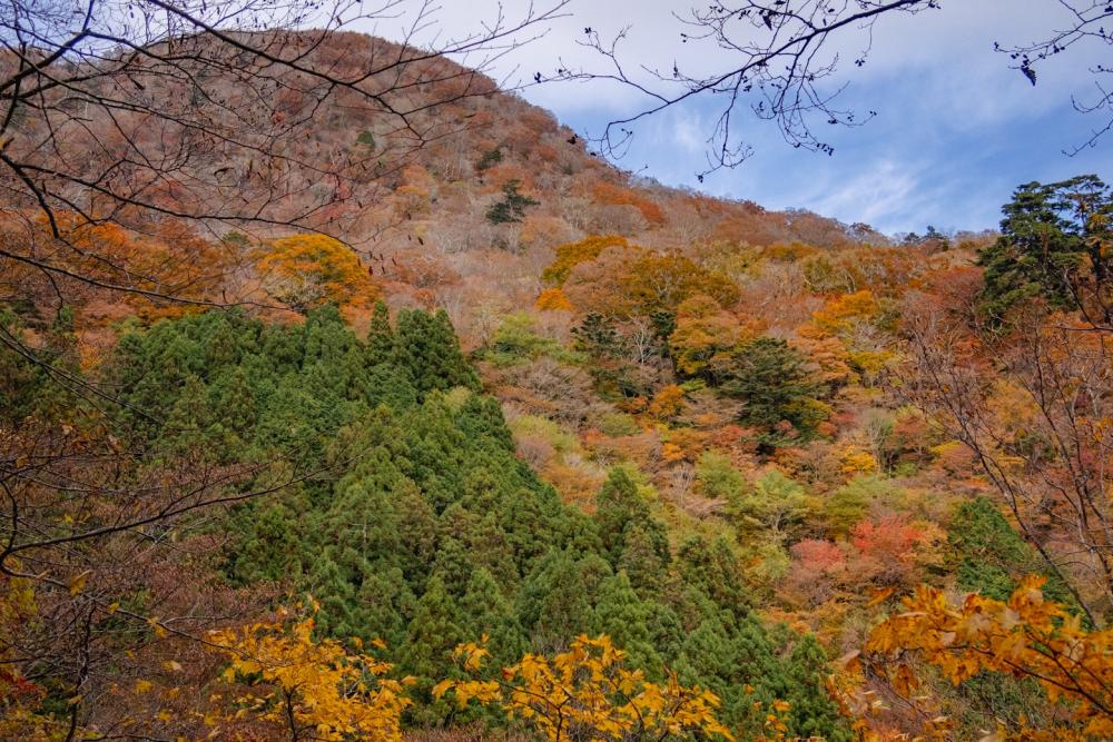 Mt. Takamaru in gorgeous autumn foliage