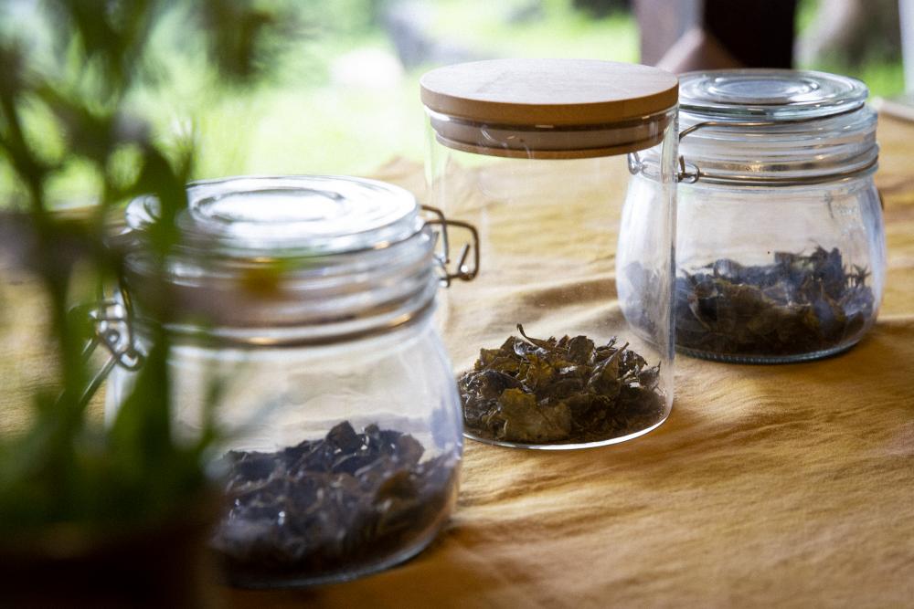全世代のためのお茶