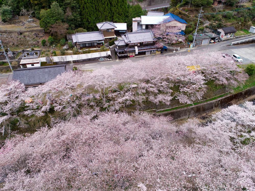 美郷字古土地