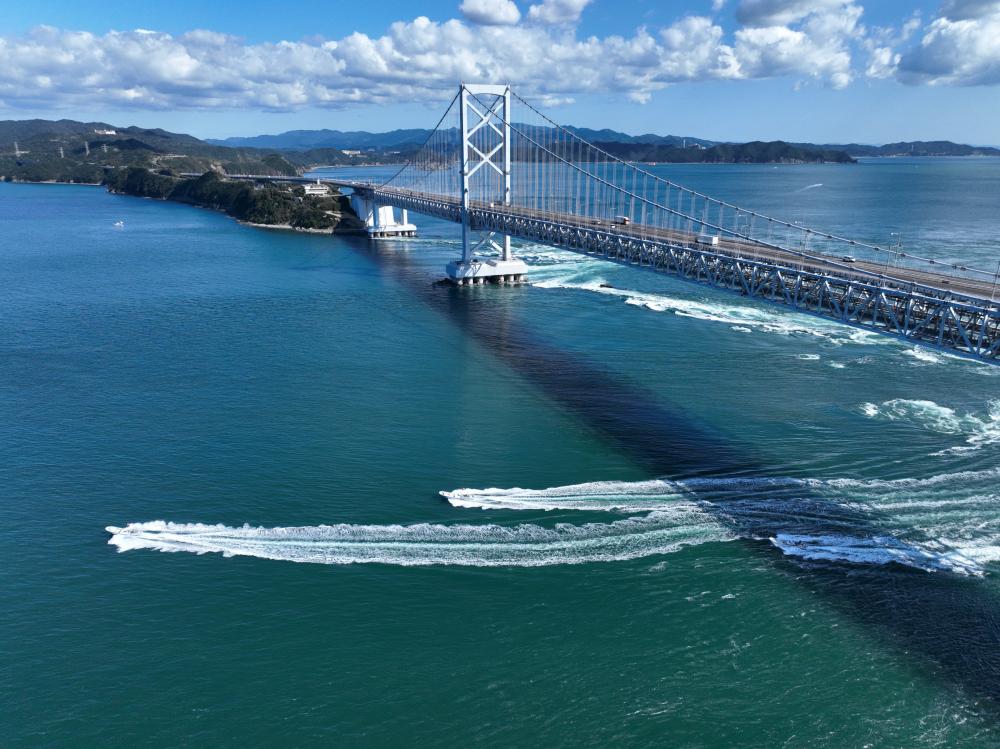 伝統漁法天然はまちの「鳴門海峡一本釣り」 