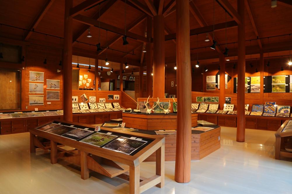  木のぬくもりを感じる［展示室］。