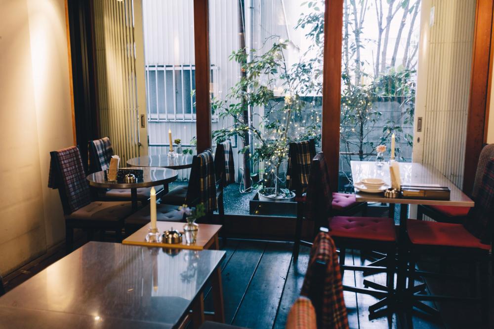 ▲奥のガーデンスペースには店名の由来となった侘助椿(わびすけつばき)が植わっている。