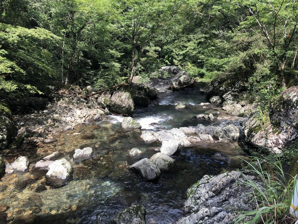 美しい自然に出会える町・勝浦町 立川渓谷(たづかわけいこく)など山間に流れる美しい清流を眺めることができる。