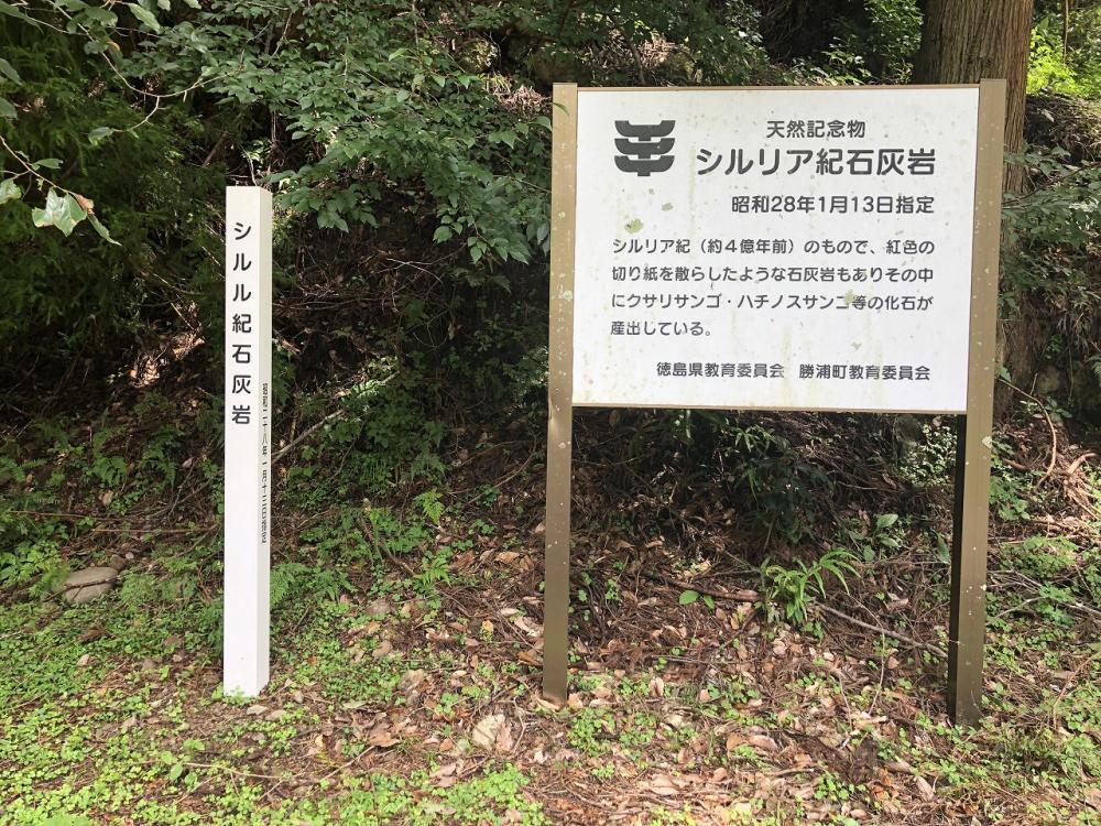 約4億年前からのおくりもの
シルリア紀石灰岩
道中でこんな看板を見つけました。