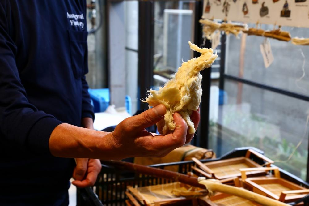 和紙の主な材料となる楮(こうぞ)。